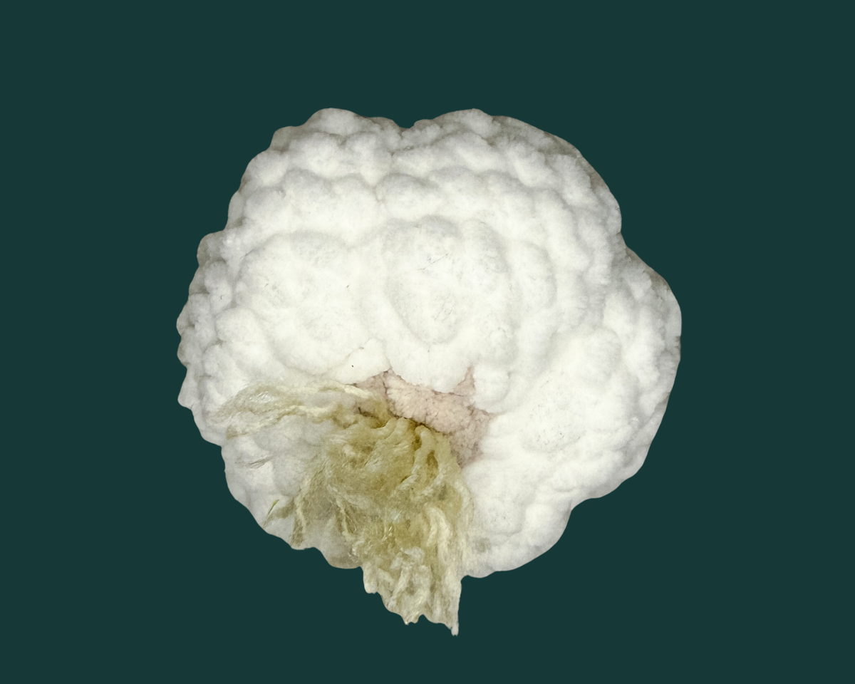 Garlic Crochet Pattern
